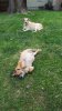 20170604_201318.jpg