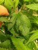 20180828_140852.jpg