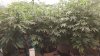 20180829_123009.jpg