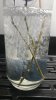 20180829_102357.jpg