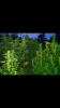 Screenshot_2018-08-30-05-43-22.png