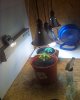 04-15-09_1149.jpg