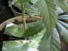 DSC00004.JPG
