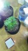 20180831_154920.jpg