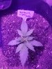 20180831_082039.jpg