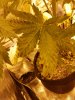 20180902_180730.jpg