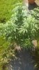 IMG_20180906_113819.jpg
