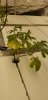 20180904_162826.jpg