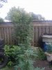20180906_170652.jpg