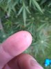 IMG_20180910_174605.jpg