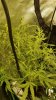 20180908_095345.jpg