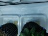 20180912_135644.jpg