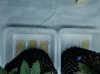 20180912_135727.jpg