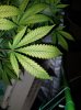 20180915_193441.jpg