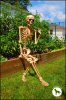 befunky_skeleton-sitting-next-to-garden-a.jpg