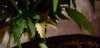 20180915_184810.jpg