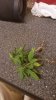 20180909_104854.jpg
