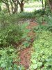 DSCF0084.jpg
