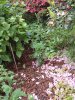 DSCF0085.jpg