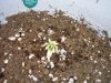 100_2286.jpg