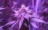 Blueberry, Sept 16, 2018 photo 2 for posting.jpg