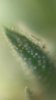 Screenshot_20180917-172509_Video Player.jpg