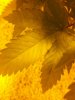 20180918_090729.jpg