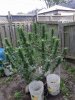 20180917_155557.jpg