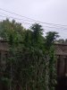 20180917_155543.jpg
