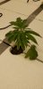 20180920_104936.jpg