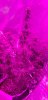 20180920_210805.jpg