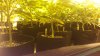 20180921_153445.jpg