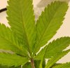 20180922_102954.jpg