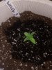 20180923_092155.jpg