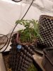 20180923_131021.jpg