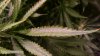 WP_20180917_06_17_09_Pro.jpg