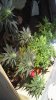 20180924_102145.jpg