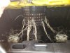20180925_122249.jpg