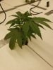 20180925_122432.jpg