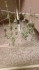 20180926_203444.jpg