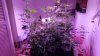20180927_091024.jpg