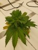 20180928_123051.jpg