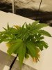 20180928_123139.jpg