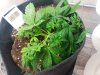 20180927_204608.jpg
