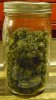 blueberry 2018 dried and cured in quart jar.jpg