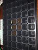 IMG-3435.JPG IMG-3435.JPG