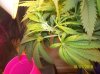100_0674.JPG