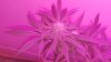 20181001_224848.jpg