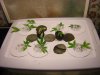 DSCN0901.jpg
