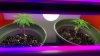 20181004_005802.jpg